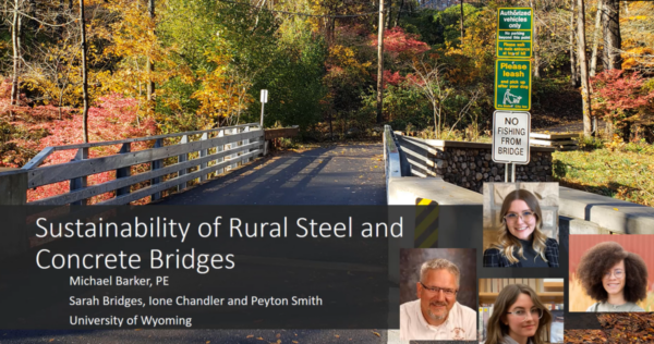 Sustainability of Rural Steel and Concrete Bridges