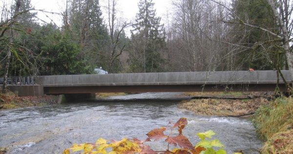 Rolled Beam Short Span Steel Bridge