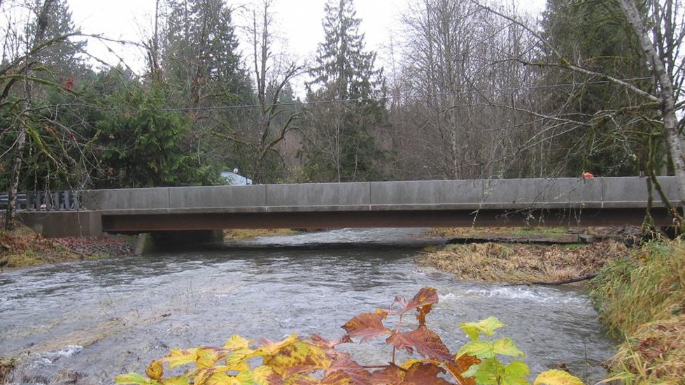 Rolled Beam Short Span Steel Bridge