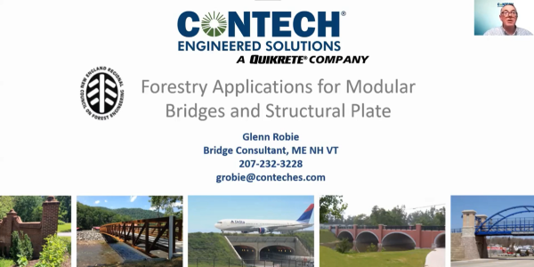 Modular Rolled Girder Bridge and Structural Plate Buried Bridge Options