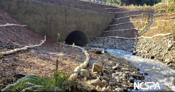 Buried Bridge NCSPA Award Winner