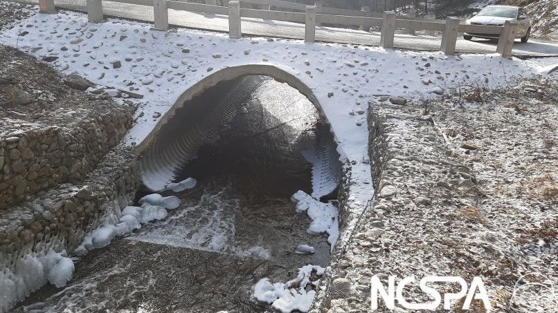 Ciocazeaua buried steel bridge