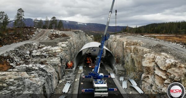 Sefrivatn Reindeer crossing – Norway