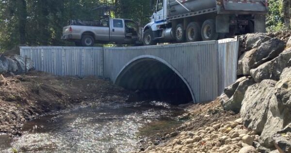 Mason County Buried Bridge - Homer Adams