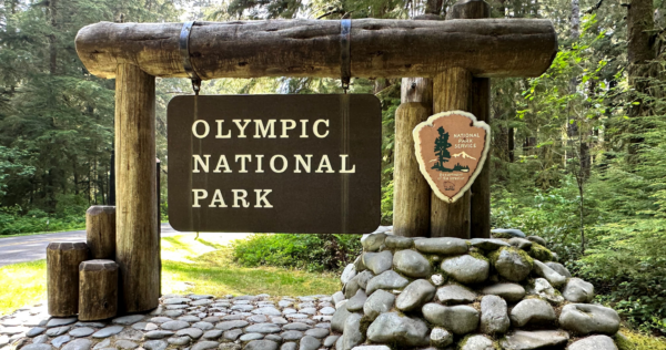 Olympic national park