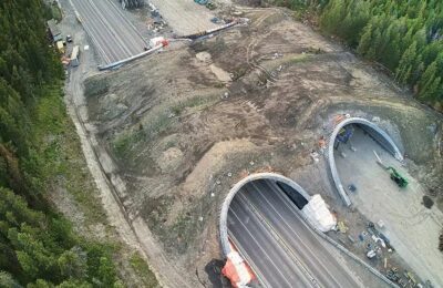 animal overpass steel bridge